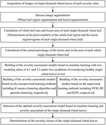 Severity assessment of wheat stripe rust based on machine learning